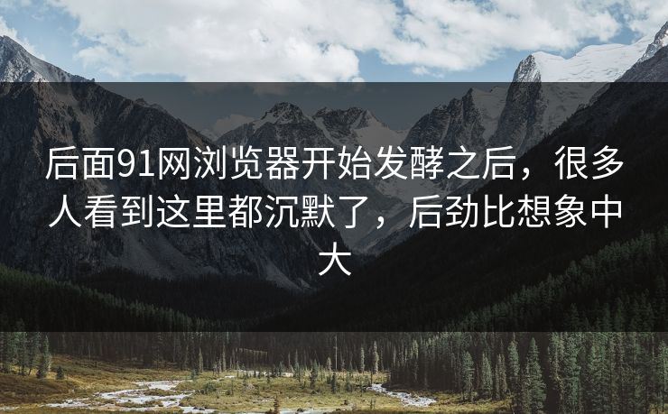 后面91网浏览器开始发酵之后，很多人看到这里都沉默了，后劲比想象中大