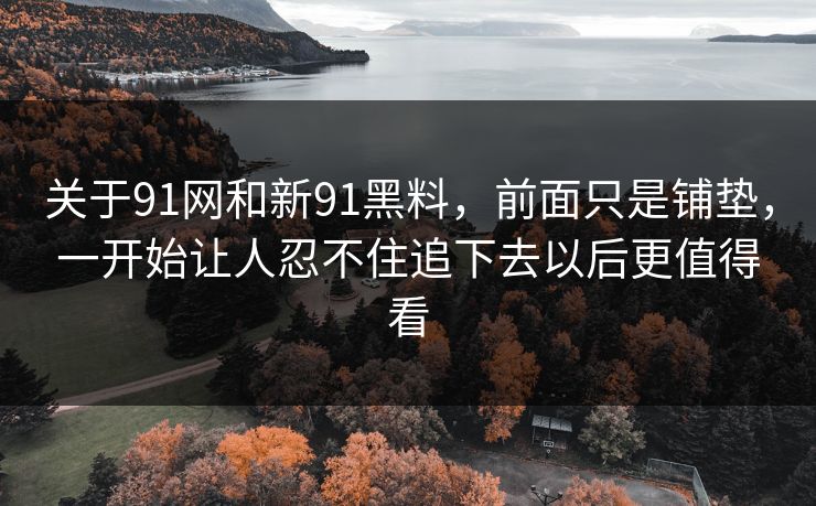关于91网和新91黑料，前面只是铺垫，一开始让人忍不住追下去以后更值得看