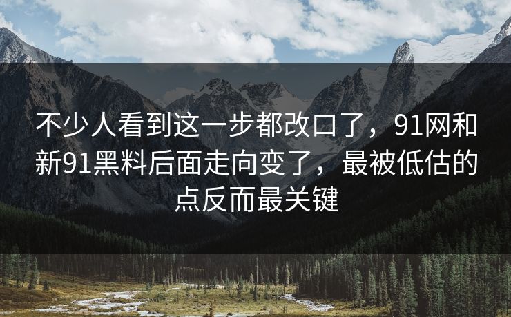 不少人看到这一步都改口了，91网和新91黑料后面走向变了，最被低估的点反而最关键