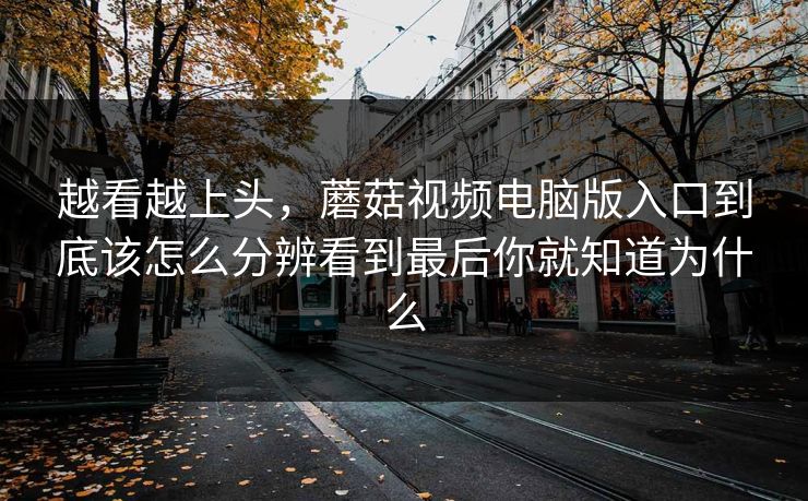 越看越上头，蘑菇视频电脑版入口到底该怎么分辨看到最后你就知道为什么