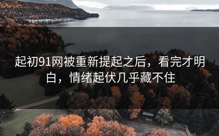 起初91网被重新提起之后，看完才明白，情绪起伏几乎藏不住