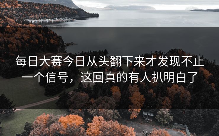 每日大赛今日从头翻下来才发现不止一个信号，这回真的有人扒明白了