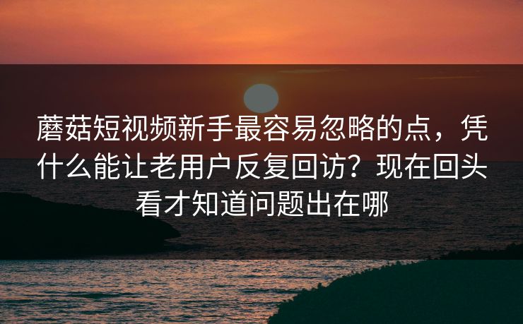 蘑菇短视频新手最容易忽略的点,凭什么能让老用户反复回访?现在回头看才知道问题出在哪 蘑菇短视频新手最容易忽略的点,凭什么能让老用户反复回访?现在回头看才知道问题出在哪