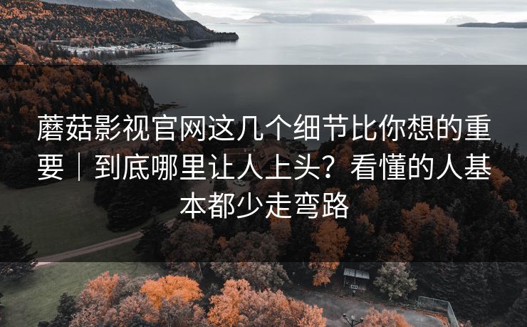 蘑菇影视官网这几个细节比你想的重要|到底哪里让人上头?看懂的人基本都少走弯路 蘑菇影视官网这几个细节比你想的重要|到底哪里让人上头?看懂的人基本都少走弯路