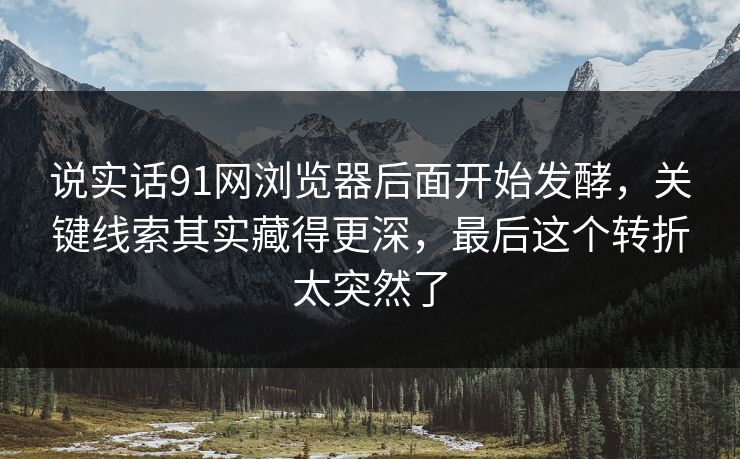 说实话91网浏览器后面开始发酵，关键线索其实藏得更深，最后这个转折太突然了